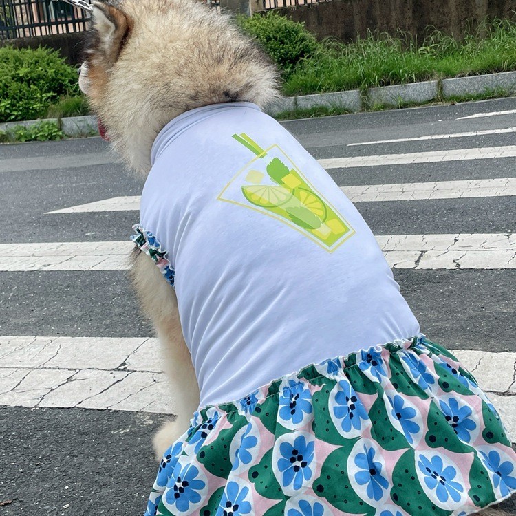 Váy hoa chanh mùa hè áo cho chó Quần áo cho mèo Quần áo cho thú cưng Chó cỡ trung và lớn Có nhiều kích cỡ để lựa chọn Váy váy cho chó Chó săn vàng Chó Siberia Chó Alaska