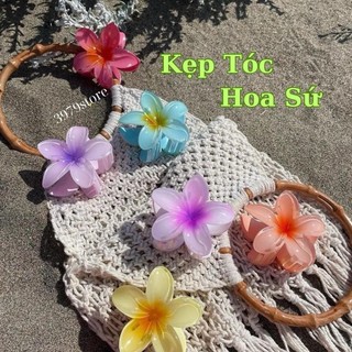 Kẹp hoa sứ - kẹp tóc càng cua - nữ