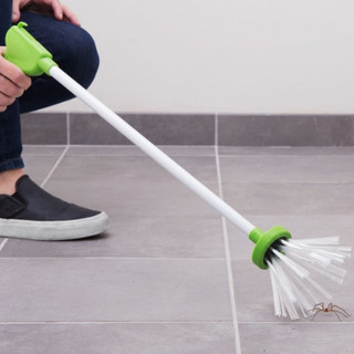 Bắt côn trùng nhân bản cho nhện, châu chấu, bọ cạp, bọ cạp, bẫy côn trùng