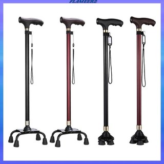 Gậy Đi Bộ Chống Trơn Trượt Xoay 360 Độ Đi Bộ Cho Người Cao Tuổi Du Lịch Trên Chân Leo Núi Cắm Trại Người Lớn