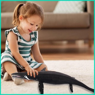 Mô hình động vật biển rắn Giáo dục Động vật biển Mô hình tĩnh Hình sinh vật đại dương thực tế cho trẻ em Nhà hjuvn