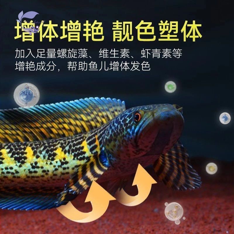 Cám Cá Lóc Porpoise - Thức Ăn Cá Lóc Cảnh Giúp Lên Màu Cá, Tăng Màu Sắc, Bóng Vảy, Đậm Vạch