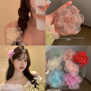 Hình Hoa Kẹp Tóc Phụ Kiện Giấc Mơ Công Chúa Thời Trang Phụ Kiện Tóc Cô Gái Ảnh Đạo Cụ Cung Cấp