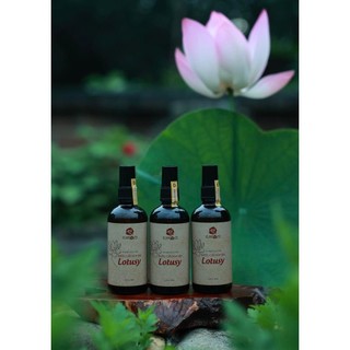 Nước cất hoa sen Karose Lotusy - Lotus Hydrosol Karose