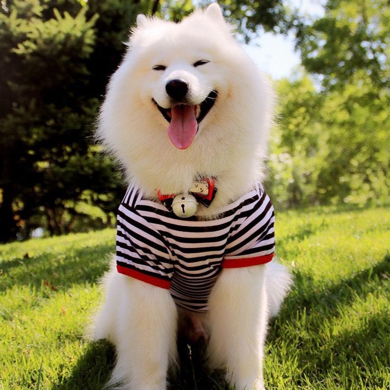 Quần áo cho chó dễ thương Quần áo mùa hè Phong cách mỏng Chó cỡ lớn Chó lớn Samoyed Golden Retriever Chó chăn cừu mùa hè Áo Vest chó cỡ vừa