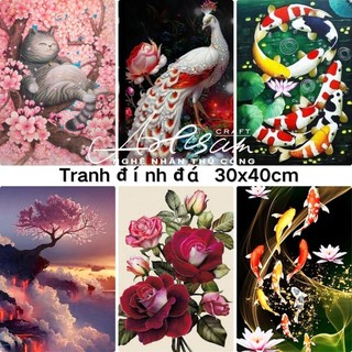Đề nghị đặc biệt,Tranh đính đá Đồ thủ công DIY, Bộ đồ thời trang 30x40cm