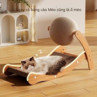 Đồ chơi mèo