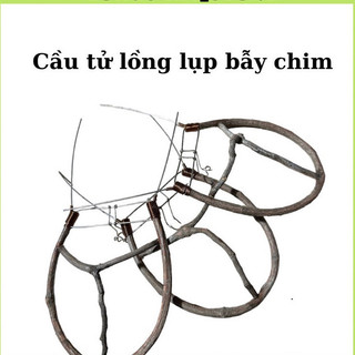 Cầu tử bẫy chim cảnh, phụ kiện bẫy chim cảnh lồng bẫy chất liệu cao cấp nhạy bén PETBIRD