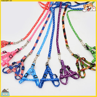 Toxicla41pet vòng cổ chó, vòng cổ chó và vòng cổ chó