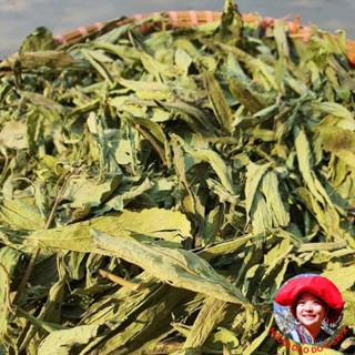 Cỏ ngọt khô loại 1 nguyên lá sấy lạnh sạch hữu cơ trồng nương Tây Bắc. Trà cỏ ngọt đường ăn kiêng tạo vị ngọt tự nhiên