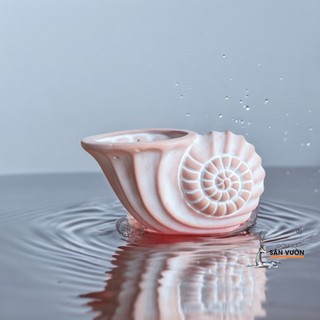 Chậu Gốm Đất Nung Hình Vỏ Ốc Xoắn - Gốm Sứ Sân Vườn - GSSV