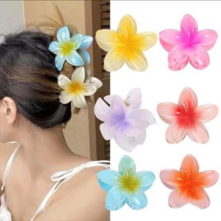 kẹp hoa sứ kẹp tóc hoa sứ kẹp càng cua hàn quốc phụ kiện tóc Kẹp tóc kẹp tóc càng cua kẹp tóc hoa kẹp phồng tóc kẹp tóc hàn quốc kẹp càng cua cỡ lớn kẹp tóc xinh kẹp càng cua cỡ lớn Thạch Màu Frangipani Lớn Kẹp Tóc Ngọt Ngào