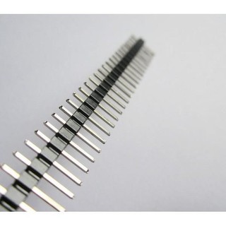 Hàng Rào Đực, Đơn, Chân Thẳng, 40 Chân (Header 2.54 40Pin)