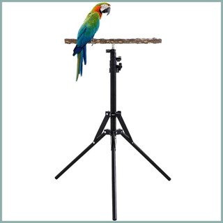 Giá đỡ cá rô chim có thể điều chỉnh độ cao 15,74-61,81 inch Có thể điều chỉnh độ cao Gỗ tự nhiên Vẹt gỗ tự nhiên yunvn