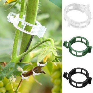 Kẹp hỗ trợ cây nho, kẹp cây treo dây leo, kẹp cây xanh có khóa, kẹp cố định cây cà tím