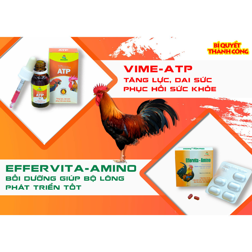 Vemedim Vime ATP Siro Cung Cấp Vitamin Tăng Lực Cho Gà Đá, Chim Gà Cảnh - Chai 20ml
