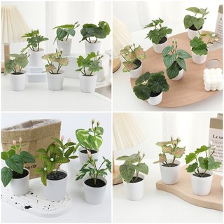Sáng Tạo Nhân Tạo Cây Cảnh Mô Phỏng Chậu Cây Chụp Ảnh Chống Đỡ Sân Vườn Nhà Trang Trí Máy Tính Để Bàn Trang Trí