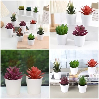 Sáng Tạo Nhân Tạo Mọng Nước Cây Xanh Chậu Chụp Ảnh Chống Đỡ Trang Trí Nhà Để Bàn Trang Trí
