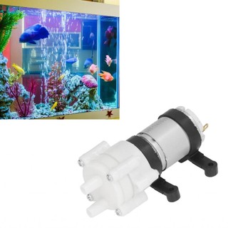 Superparis máy bơm nước 12v dc máy nâng xả 3 mét tự mồi động cơ 385 dễ dàng sử dụng