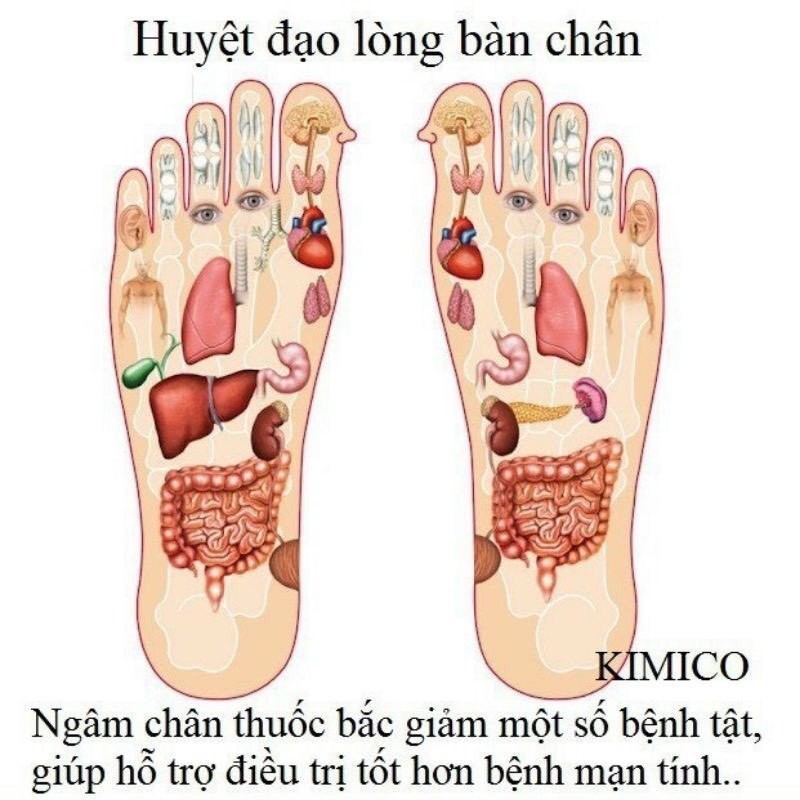 [dán chân] 50 Miếng Dán Ngải Cứu Thải Độc Chân Lão Bắc Kinh