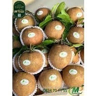 Cây hồng xiêm mexico ( sapoche mexico) CAM KẾT GIỐNG CHUẨN F1