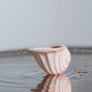 Chậu Gốm Đất Nung Hình Vỏ Ốc Xoắn - Gốm Sứ Sân Vườn - GSSV