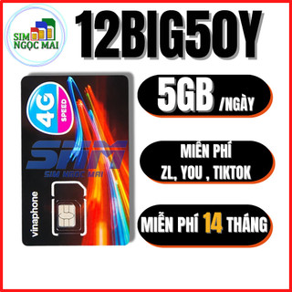  SIM 4G Vinaphone  VD149  U1500  12BIG50Y D500  12D159V  12D49P  12VD89P TRỌN GÓI 1 NĂM - 500GB T - SIM NGỌC MAI 