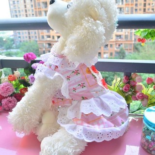 Teddy Puppy Pomeranian Bichon Váy ren công chúa đi chơi mùa hè Váy hoa nữ mỏng dễ thương