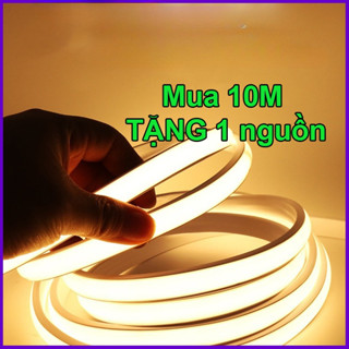  Combo 10m 20m 30m Đèn LED dải Neon COB chống nước 220v hắt trần trang trí phòng Tặng Nguồn 