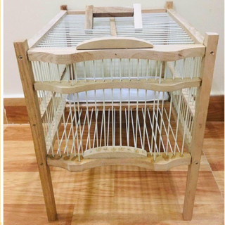 Khung lồng tắm chào mào nan cáp quang Chitta bền đẹp giá rẻ