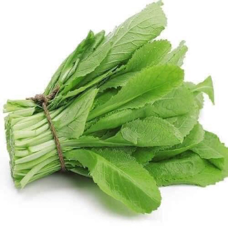 1kg hạt giống cải bẹ xanh mỡ Trang Nông năng suất cao