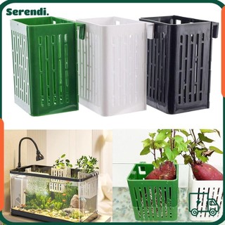 Giỏ trồng thủy canh bể cá SERENDI, Chậu thủy tinh cảnh quan cây nước treo chậu thủy tinh, Chậu cảnh quan thủy canh có móc Cốc trồng cây bể cá