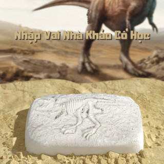 Đồ chơi đào hoá thạch khủng long, bộ khảo cổ đào xương khủng long, đồ chơi cho bé rèn luyện kiên-ingri