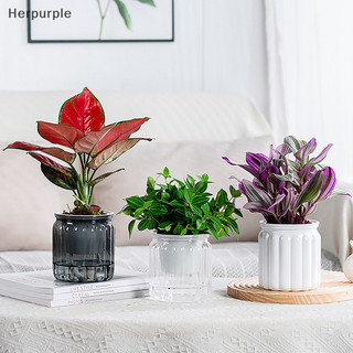Her Tròn Tự Tưới Cây Chậu Hoa Bình Chậu Cây Tự Hút Nước Cho Gia Đình Trang Trí Để Bàn Trong Nhà VN