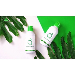 GREEN QUANTUM - Nước diệp lục bù nước nhanh