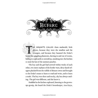 Shadow And Bone Book 1: A Netflix Original Series