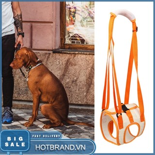 Đai lưới hỗ trợ chân cho chó cưng Hỗ trợ dây nịt Chăm sóc an toàn cho chó