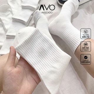 Tất vớ cao cổ nam nữ co giãn đàn hồi thể thao chất cotton Avocado đẹp