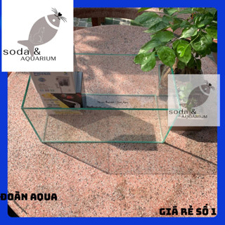 ( Toàn quốc_ bể cá mini 30x20x20 giấu keo nuôi cá thuỷ sinh hồ cá mini siêu đẹp . Kèm sỏi đá, cây thủy sinh trang trí