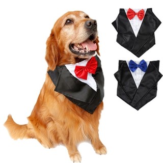 Trái Thú Cưng Cổ Cho Mèo Chó Cưới Bandana Nơ Lễ Hội Thú Cưng Cà Vạt Trang Phục Phụ Kiện Có Thể Điều Chỉnh Bowtie Cổ Thú Cưng