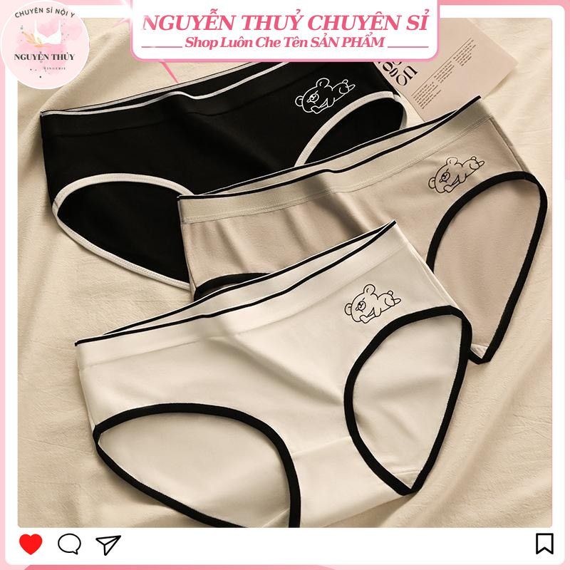 Combo 15 Quần Lót Nữ Cotton Cute 3 Màu Gấu Nằm Đáng Yêu Cao Cấp Thấm Hút Mồ Hôi, Kháng Khuẩn, Dễ Thương - C36