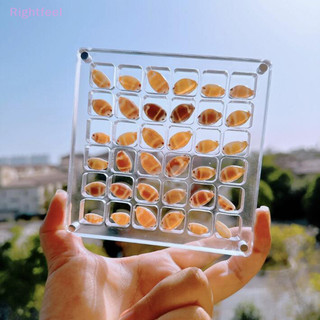Rightfeel 1 Hộp Bộ Sưu Tập Đá Cho Hạt Móng Tay Trang Sức Acrylic Từ Biển Hộp Bảo Quản 36 / 64 Lưới Nhỏ Thủ Công Tổ Chức Hộp Đựng Mới