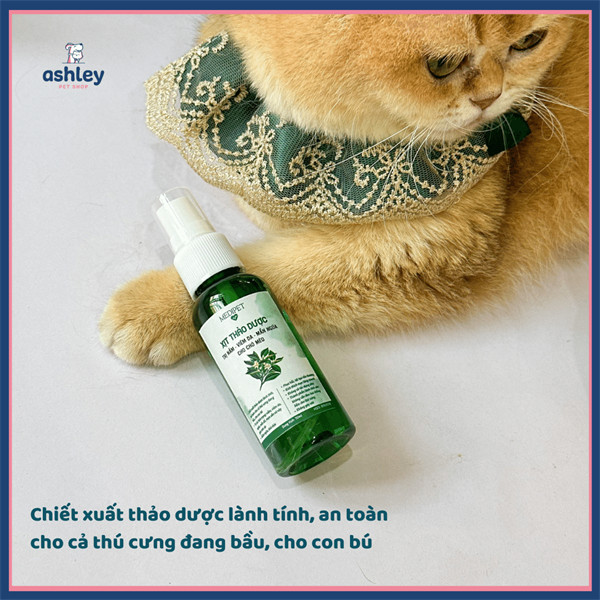 Xịt ngứa nấm chó mèo chiết xuất thiên nhiên MEDIPET nấm, viêm da, ve rận cho chó mèo an toàn lành tính