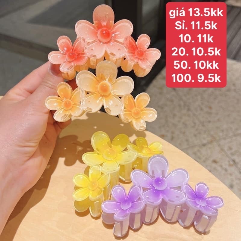 (Bán buôn-chuyên sỉ) Kẹp Càng Cua 3 Hoa Sứ