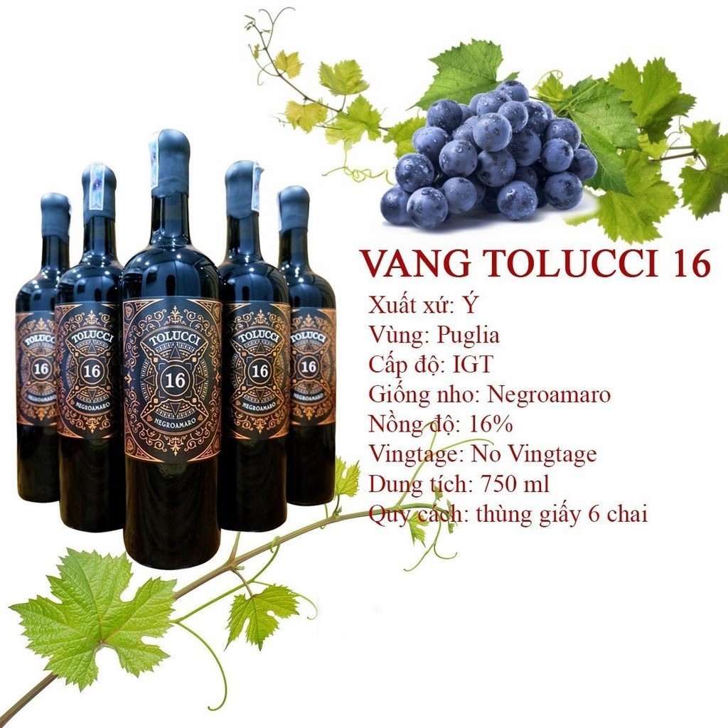Rượu vang Ý Tolucci 16 nhập khẩu