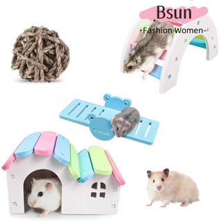 Đồ chơi nhà ở/cầu thang/bập bênh/bóng gỗ đồ chơi dành cho chuột Hamster