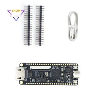 Tang nano 9k fpga ban phát triển gowin gw1nr-9 bộ risc-v