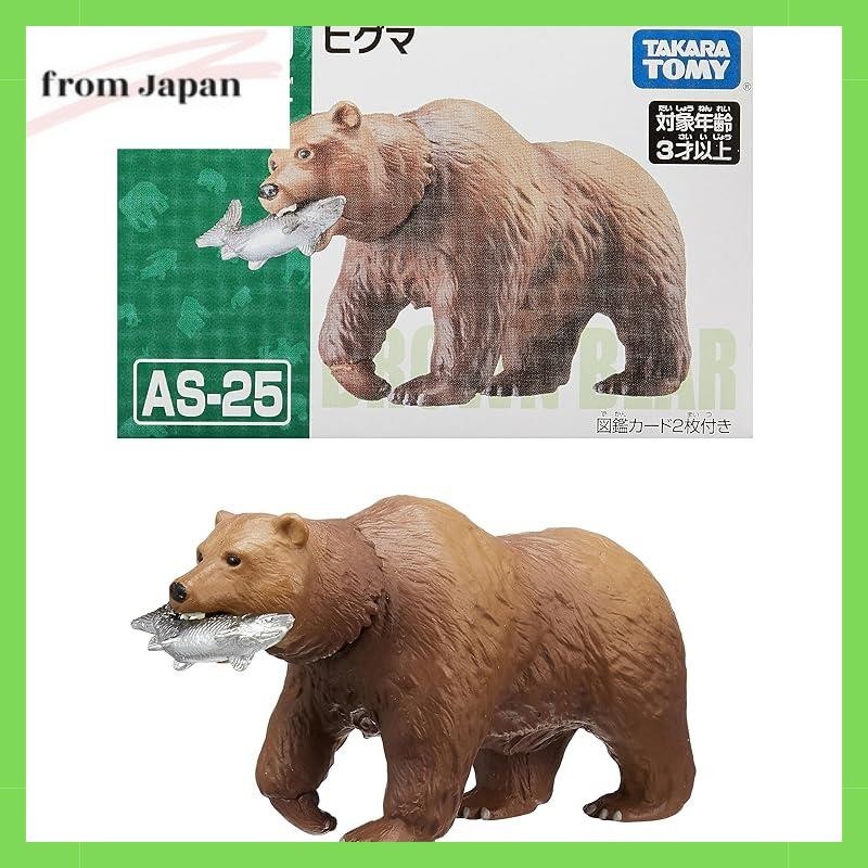 Ania AS-25 Brown bear