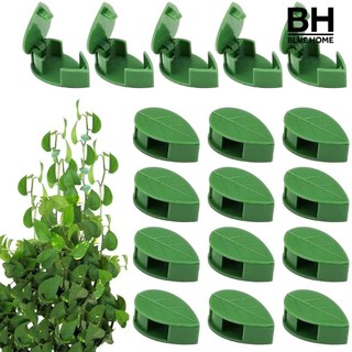 [Bh] 30 Chiếc Kẹp Tường Cây Leo Núi Hình Lá Dụng Cụ Cố Định Cây Có Băng Keo Treo Dụng Cụ Thực Vật Móc Cà Chua Cây Leo Tường Cố Định Kẹp Đồ Dùng Làm Vườn