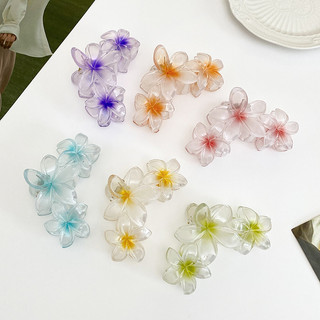Gà Sứ Hoa Acrylic Màu Kẹo Kẹp Tóc Nữ Gradient Hoa Cá Mập Kẹp Phụ Kiện Tóc